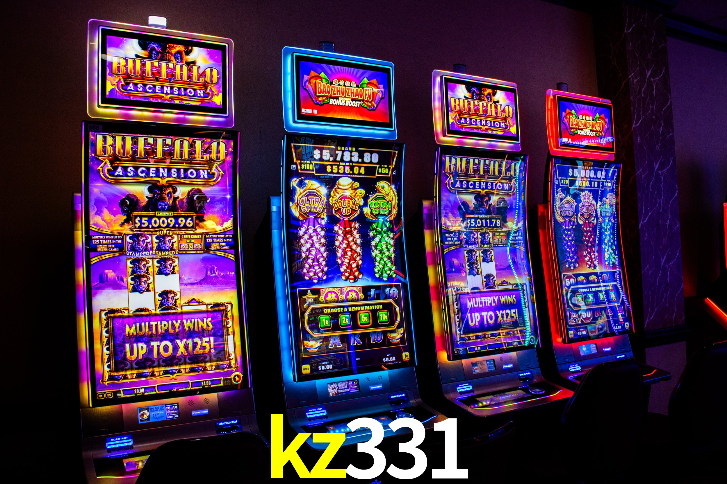 Programa VIP kz331
